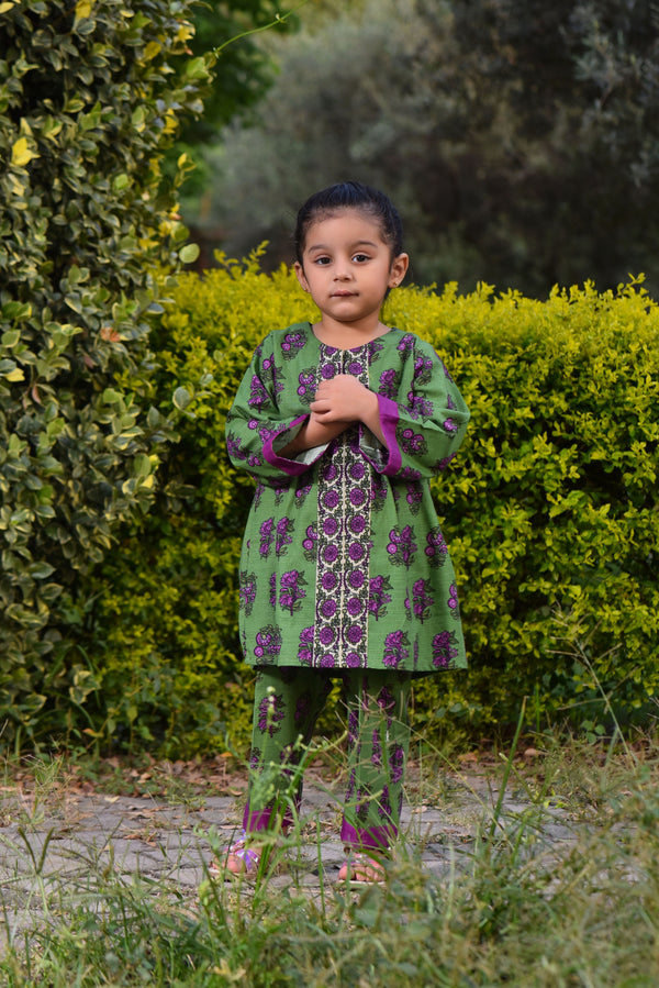 2 Piece - Printed khaddar Suit