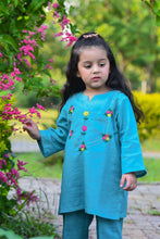 2 Piece - Embroidered Khaddar Suit (Aqua)