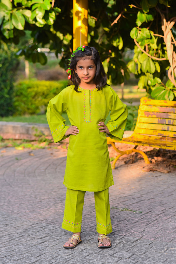 2 Piece - Embroidered Khaddar Suit (Green)