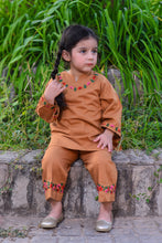 2 Piece - Embroidered Khaddar Suit (Brown)