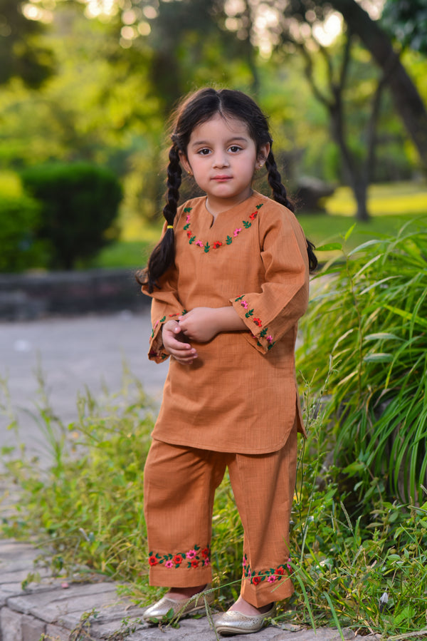 2 Piece - Embroidered Khaddar Suit (Brown)