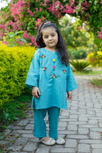 2 Piece - Embroidered Khaddar Suit (Aqua)